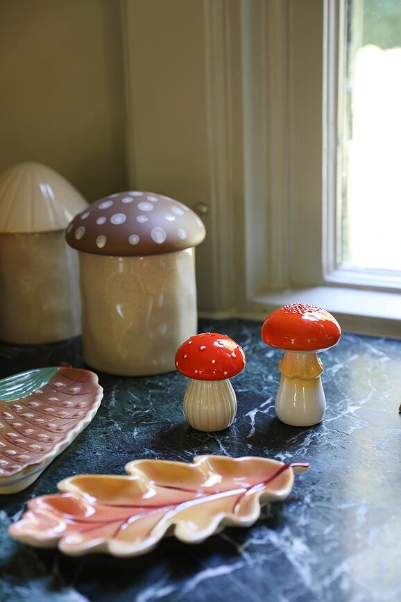 Soola- ja pipratoos &K Mushroom