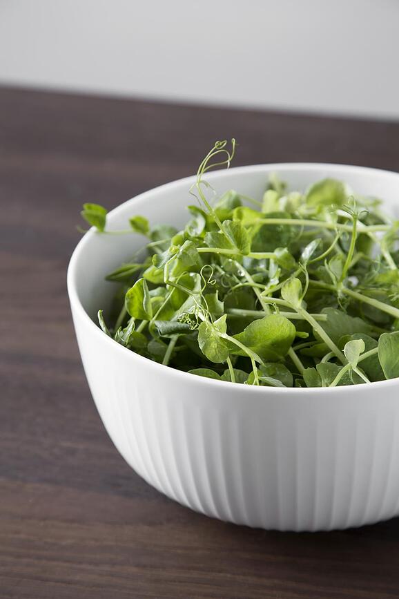 Hammershøi Skleda, 21 cm, bela