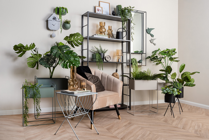 Despertador Index, mostaza