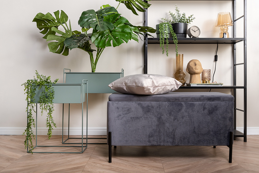 Index Réveil, moutarde