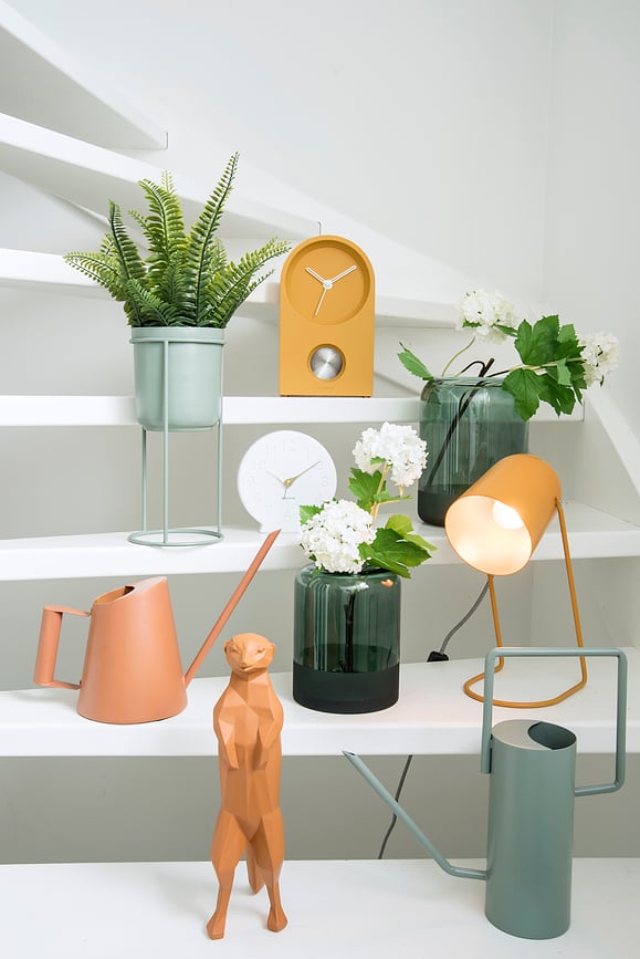 Sole Budilica koraljna