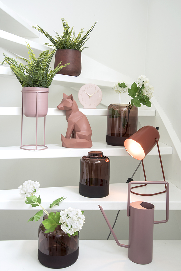 Sole Ξυπνητήρι, κοραλί