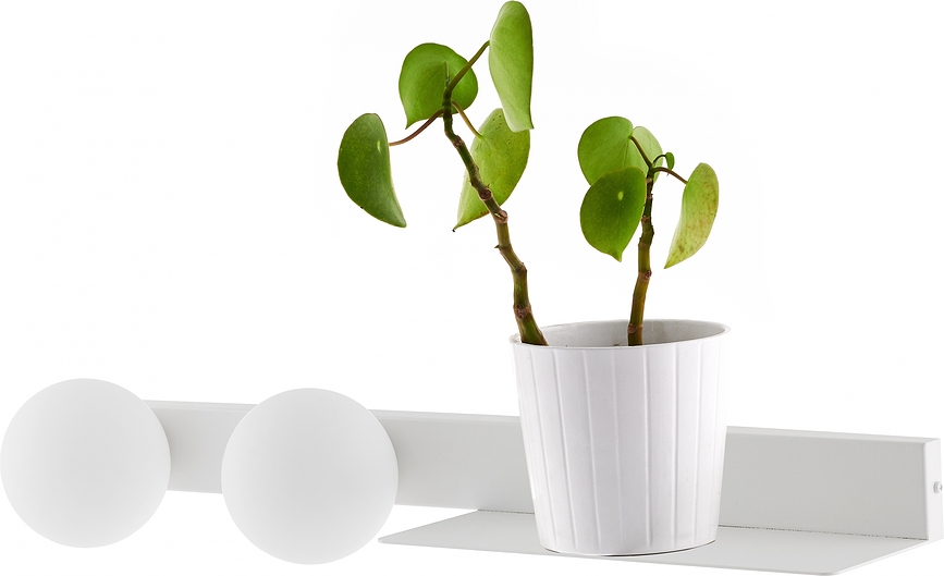 Botanica Deco Applique Murale avec étagère, noire