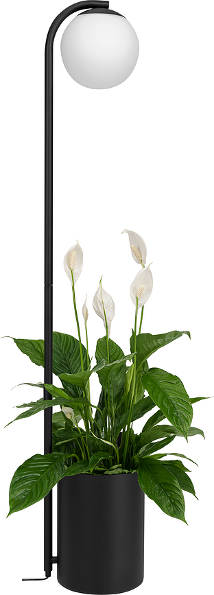 Botanica Deco XL Φωτιστικό Δαπέδου, με αποθηκευτικό χώρο, με ξύλινο καπάκι