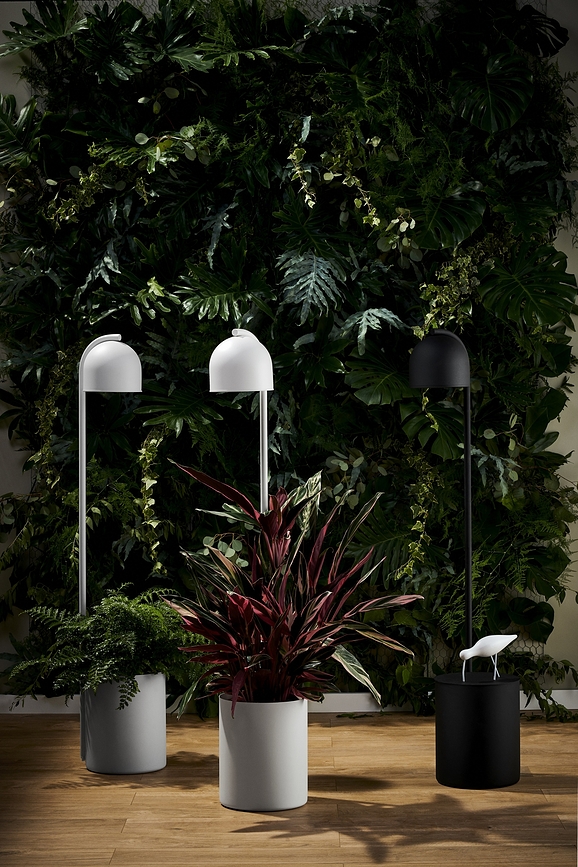 Botanica Lampa podna XL crna