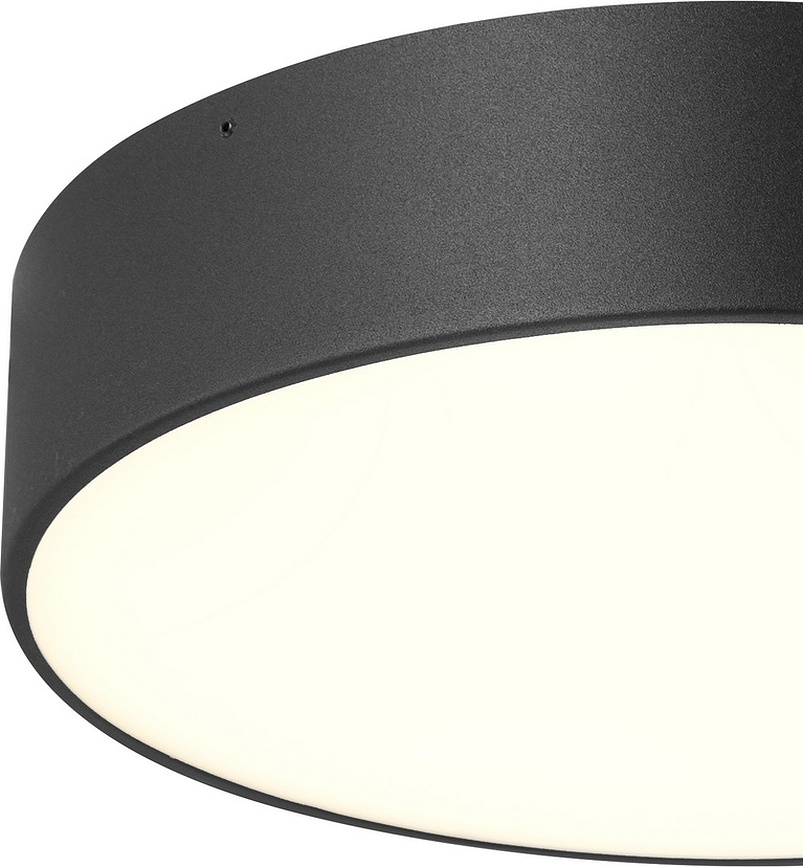 Disc Plafonnier M, noir