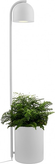 Lampa podłogowa Botanica XL szara