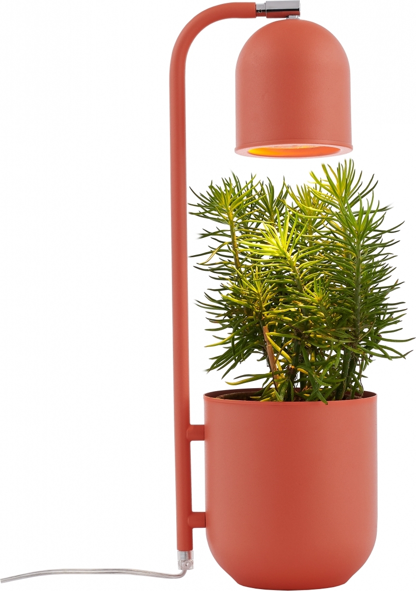 Lampa stołowa Botanica koralowa