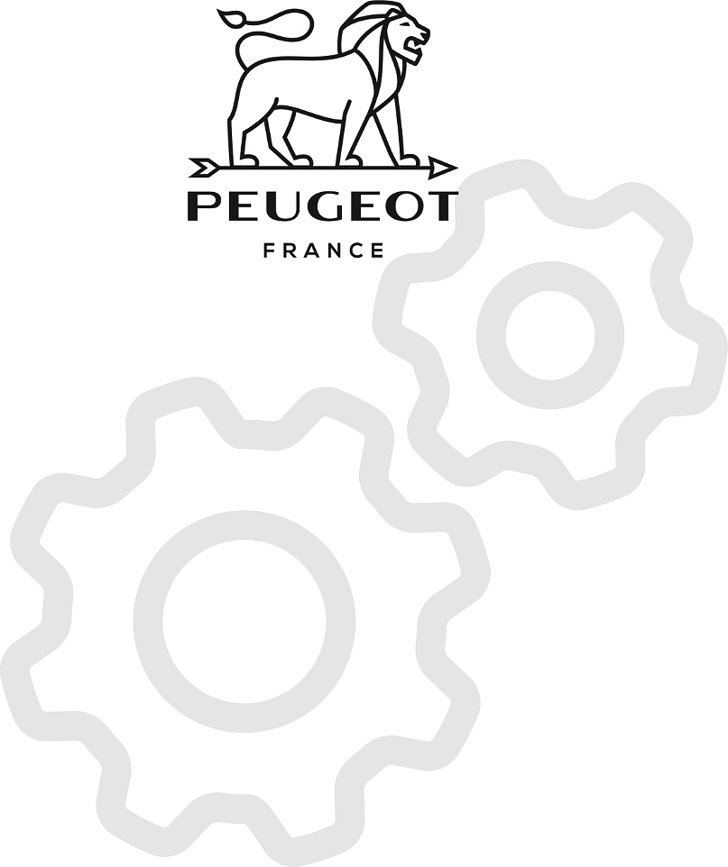 Peugeot varuosad