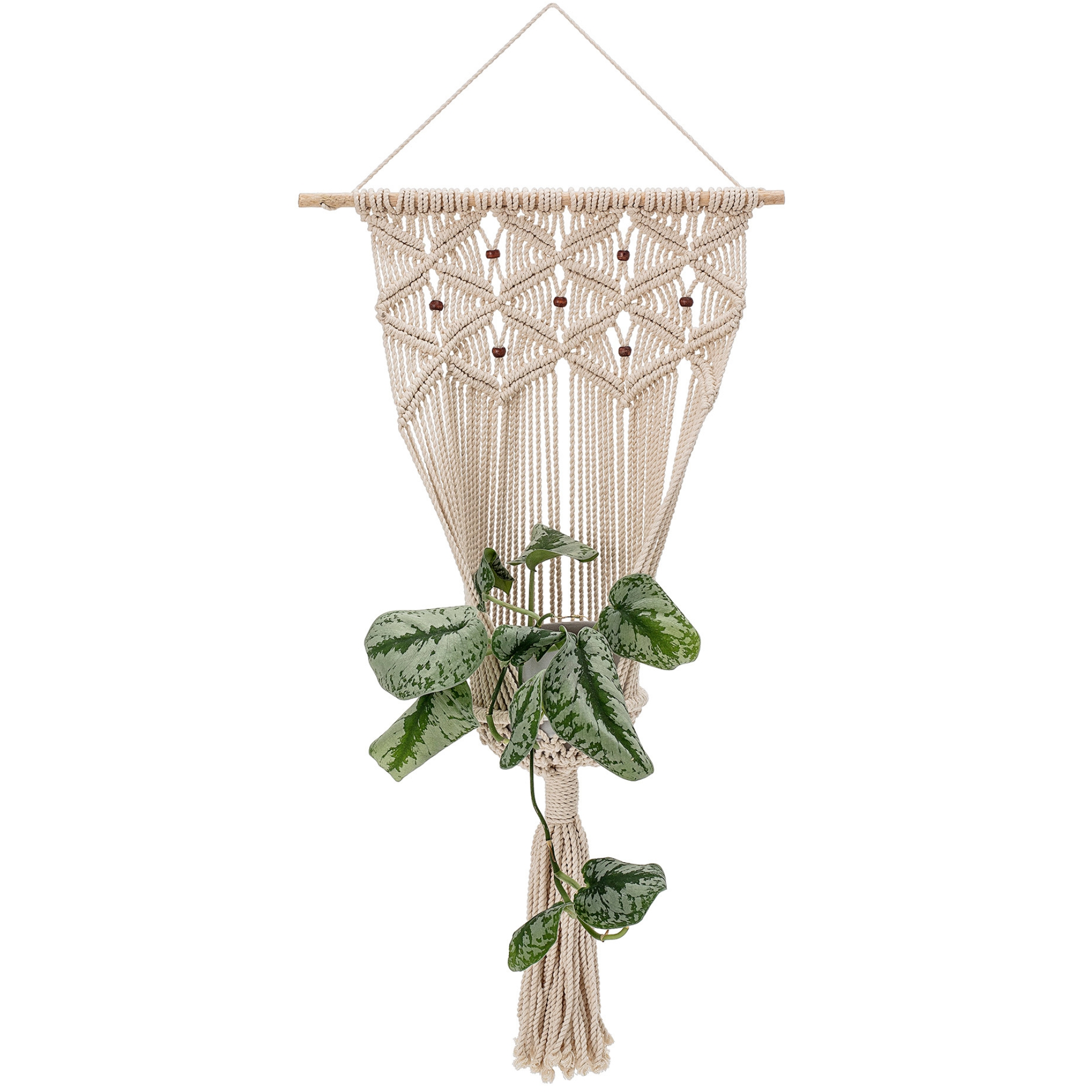 Jardinières murales