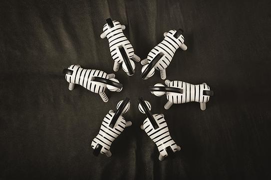 Dekoracja drewniana zebra