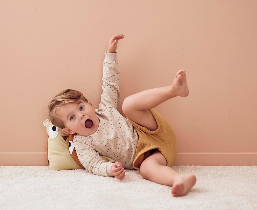 Edvin Plišasta Sova, rjava