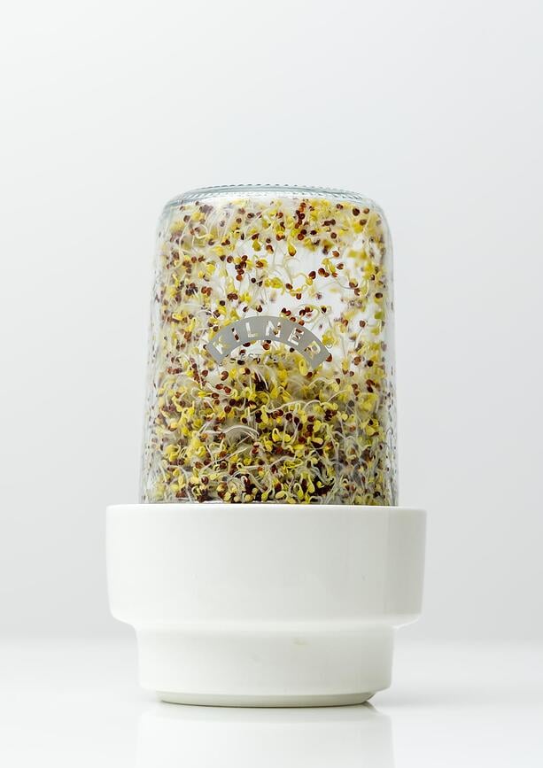 Germinador Kilner, para brotes