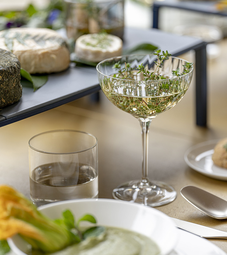 Lines Martini Glass 210 ml