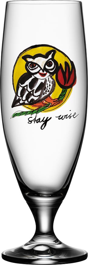 Friendship Stay Wise Bierglas 500 ml