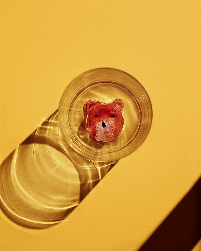 Vaso New Friends 460 ml, con diseño de pájaro