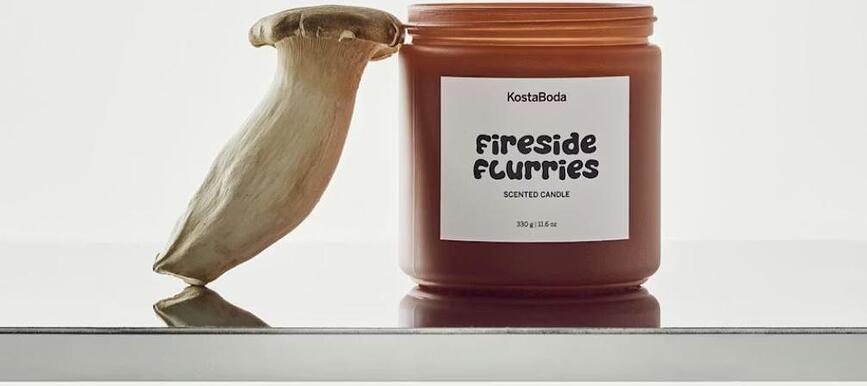 Vonná svíčka Mind Fireside flurries 10,2 cm