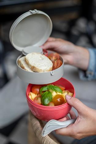 Bentobox Organic Nature Pojemnik na lunch M
