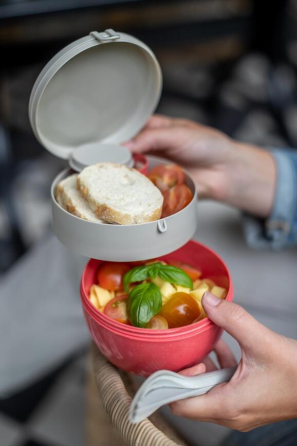 Bentobox Organic Nature Škatla za malico, M, zelena