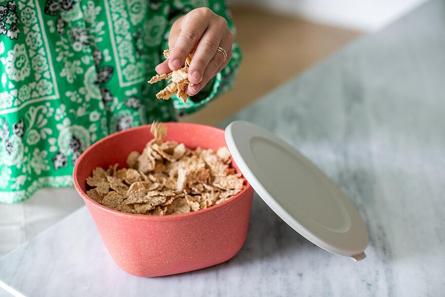 Connect Organic Nature Récipient 1 L, vert