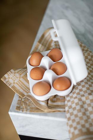 Eggs To Go Organic Nature Pojemnik na jajka mini