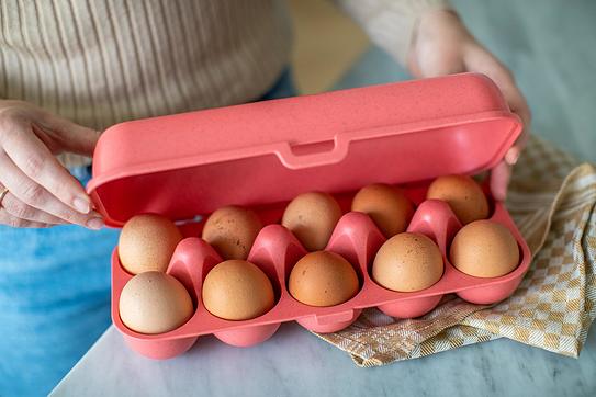 Eggs To Go Organic Nature Pojemnik na jajka