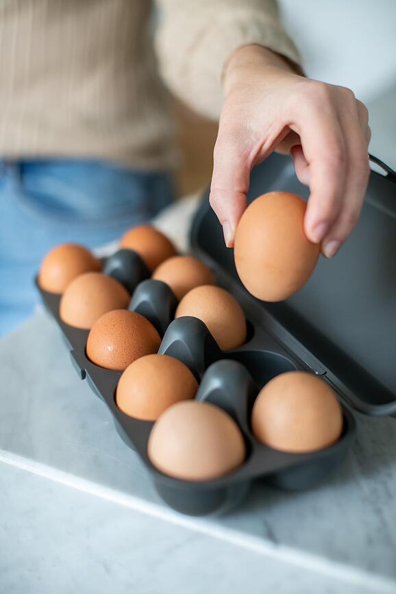 Eggs To Go Organic Nature Škatla za jajca, siva