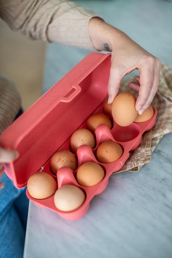 Eggs To Go Organic Nature Kutija za Jaja svijetlozelena