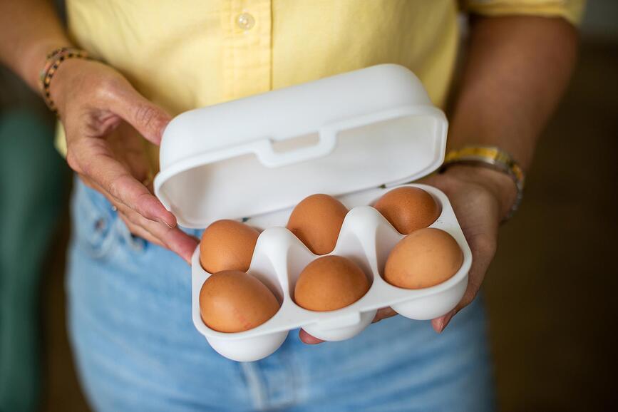 Eggs To Go Organic Nature Θήκη για Αυγά μίνι, γκρι