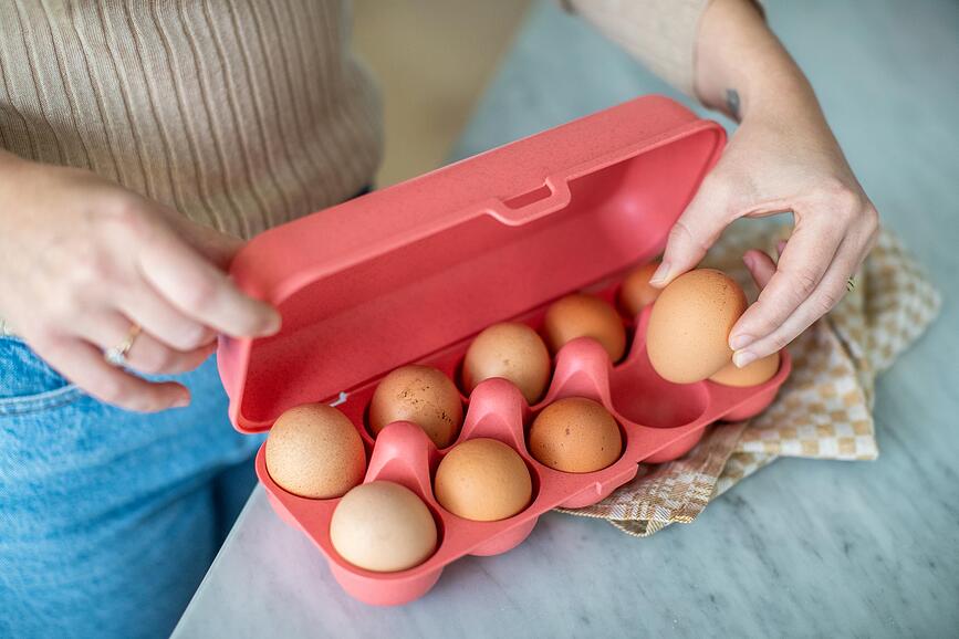 Eggs To Go Organic Nature Δοχείο για Αυγά, γκρι