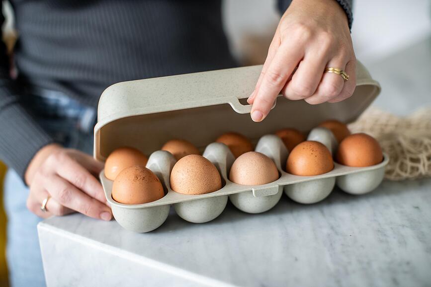 Eggs To Go Organic Nature Δοχείο για Αυγά, γκρι