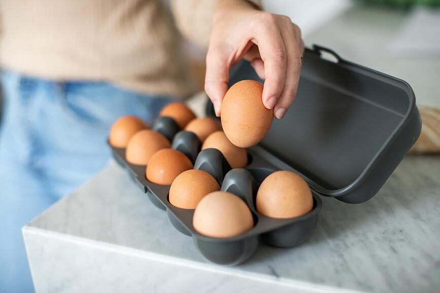 Eggs To Go Organic Nature Δοχείο για Αυγά, γκρι