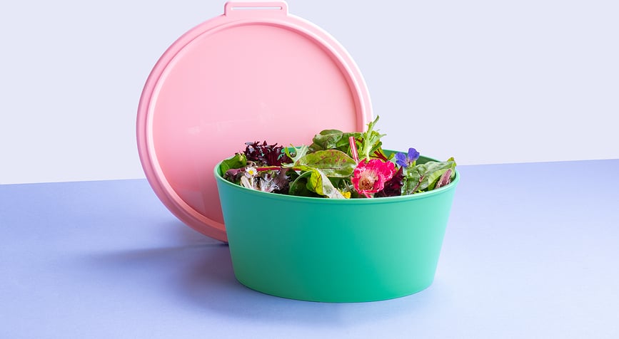 Fiambrera Nora Box 2,2 l, menta-coral