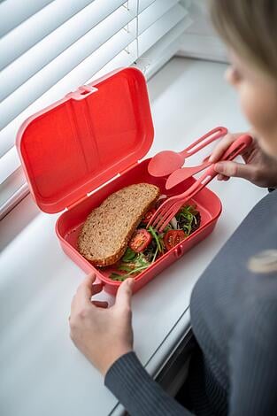 Lunchbox Pascal Organic L z przegródką