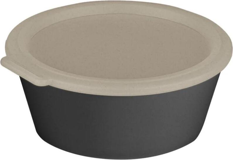 Move Box Lunchbox 1,3 l, grau