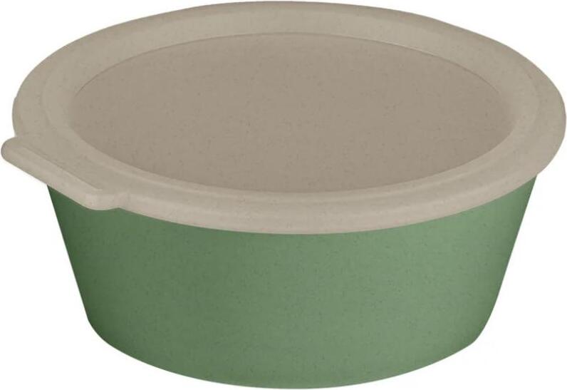 Move Box Lunchbox 1,3 l, grün