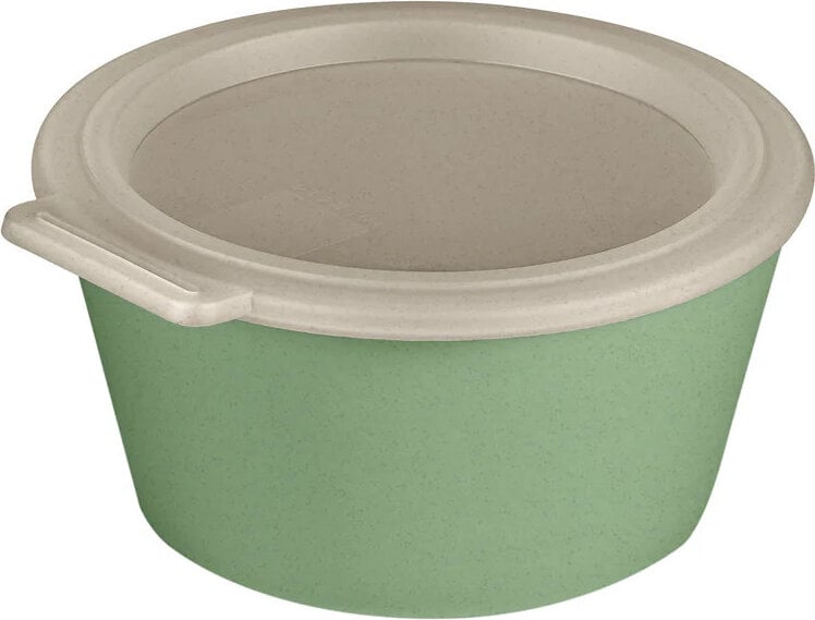 Move Box Lunchbox 700 ml, grün