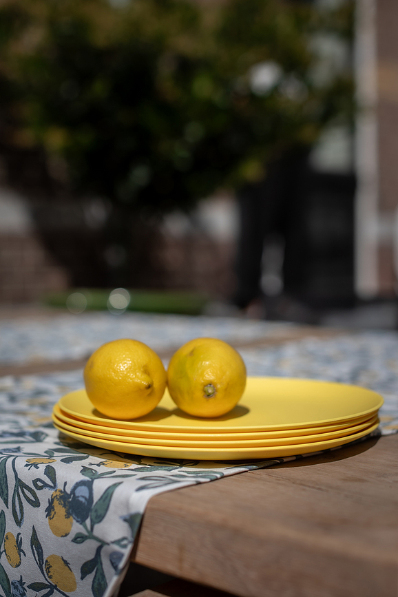 Nora M Jedilni Krožnik, zelen