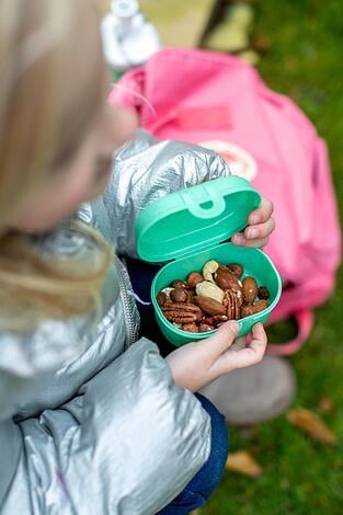 Pascal Mini Organic Nature Lunchbox dziecięcy