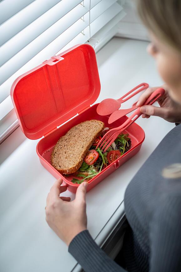 Pascal Organic Boîte à lunch avec compartiment, L, grise