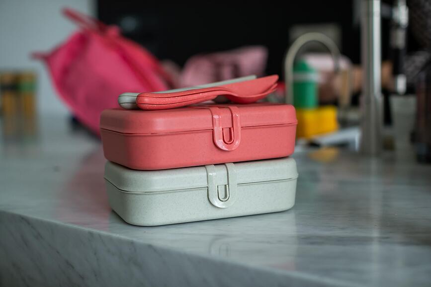 Pascal Organic Δοχείο Φαγητού L, με διαχωριστικό, γκρι