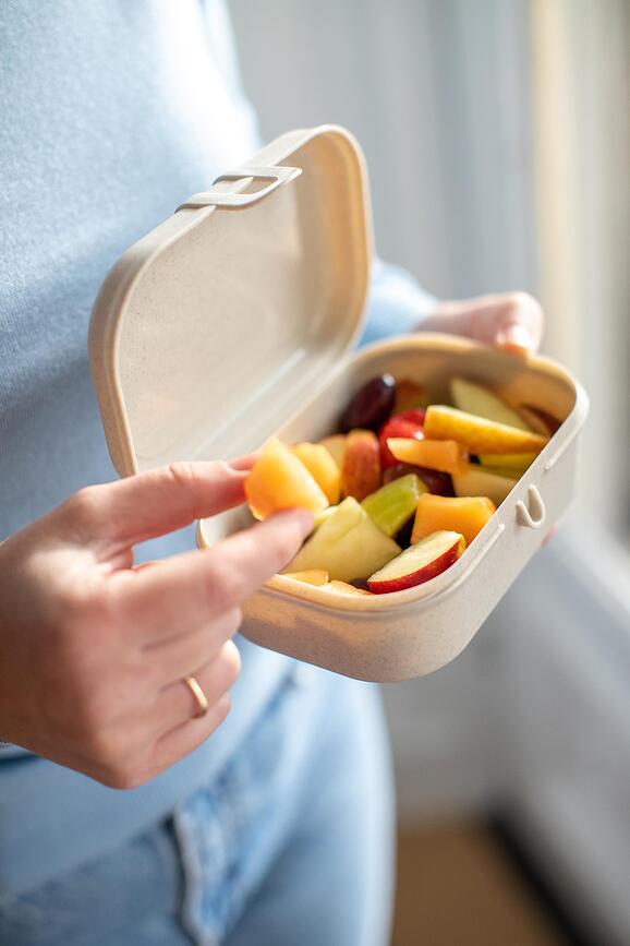 Pascal Organic Lunchbox S sivi