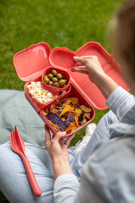 Pascal Ready Organic Boîtes Repas avec couverts, sable, Set 4 pièces