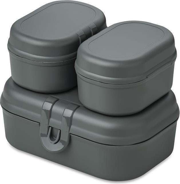 Pascal Ready Organic Lunchboxen mini grau 3 El.