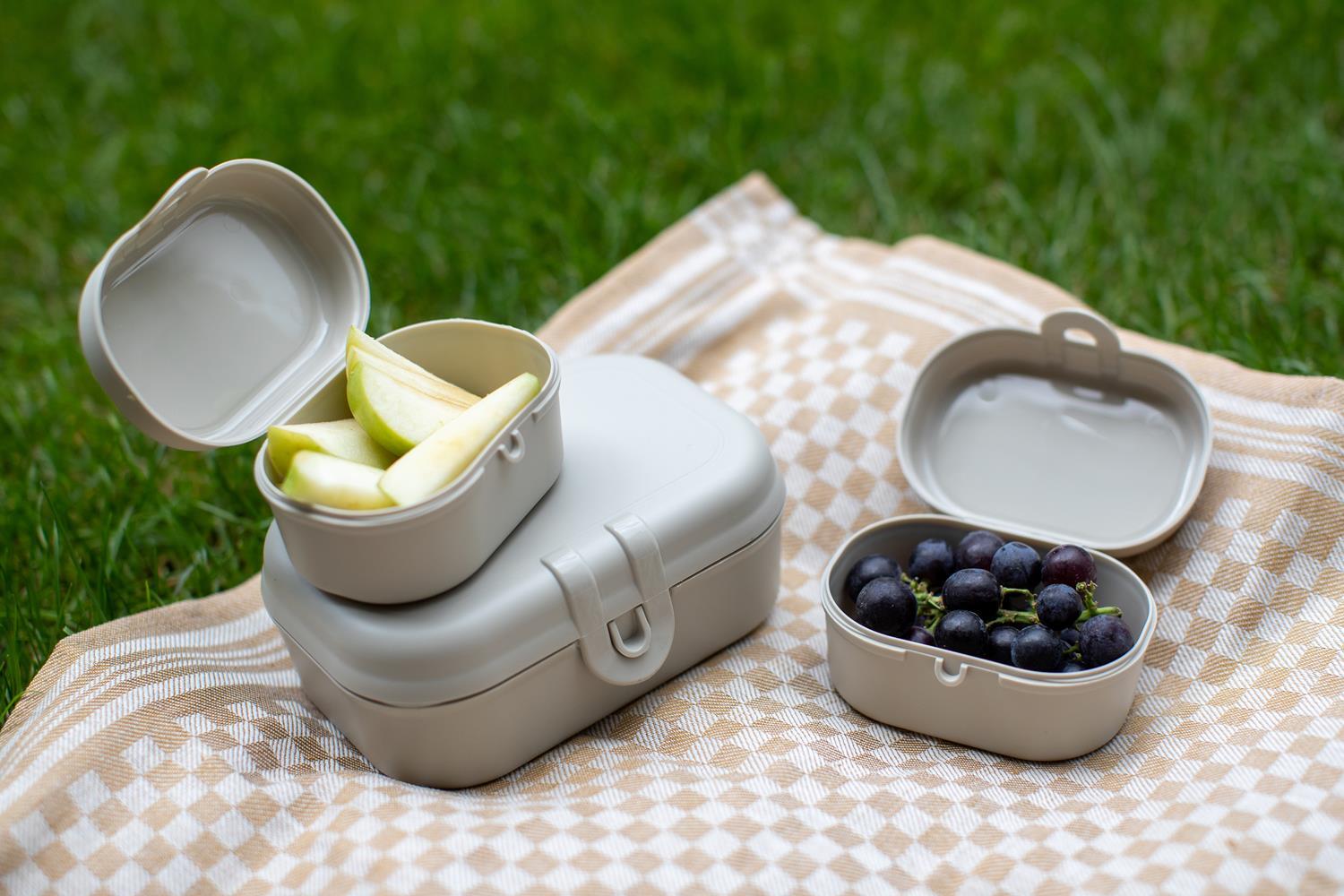 https://3fa-media.com/koziol/koziol-pascal-ready-organic-lunchboxes-mini-3-el__115618_ac898b2-s2500x2500.jpg