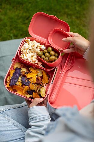 Pascal Ready Organic Lunchboxy ze sztućcami 4 el.