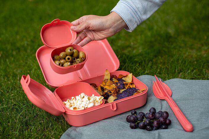 Pascal Ready Organic Lunchboxy ze sztućcami 4 el.