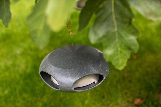 Pi:p Organic Nature Karmnik dla ptaków