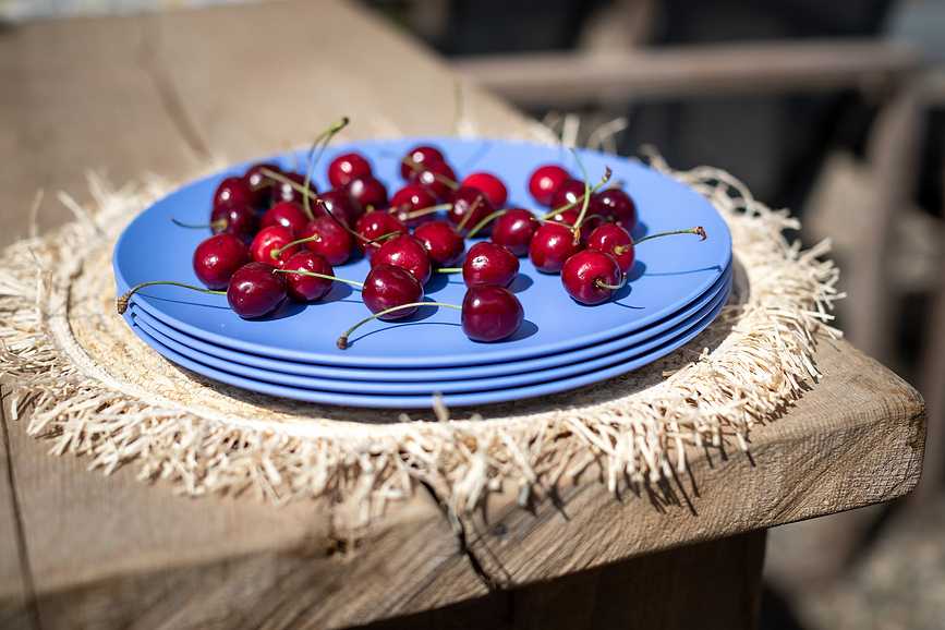 Plato Llano Nora M, amarillo