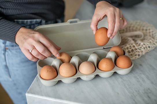 Pojemnik na jajka Eggs To Go Organic Nature